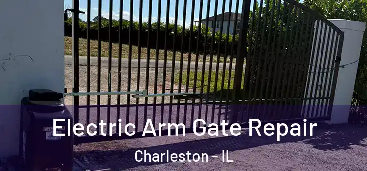 Electric Arm Gate Repair Charleston - IL