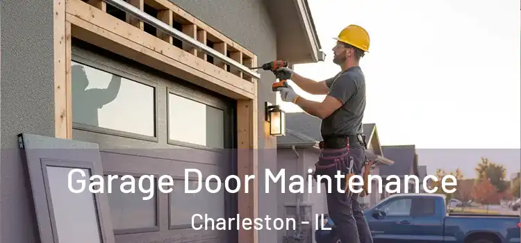  Garage Door Maintenance Charleston - IL