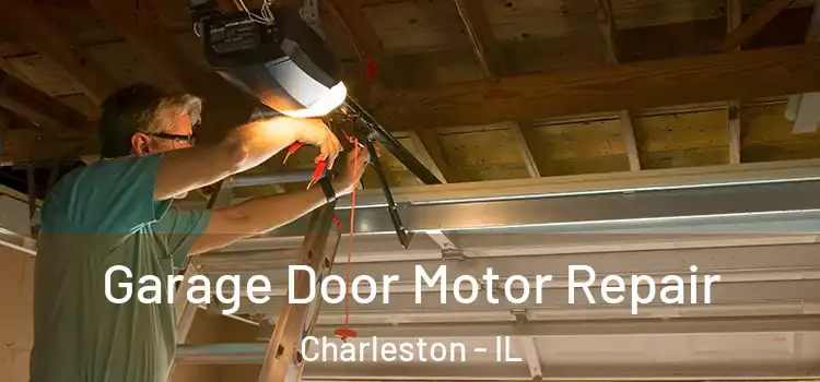  Garage Door Motor Repair Charleston - IL