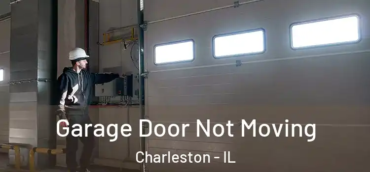  Garage Door Not Moving Charleston - IL