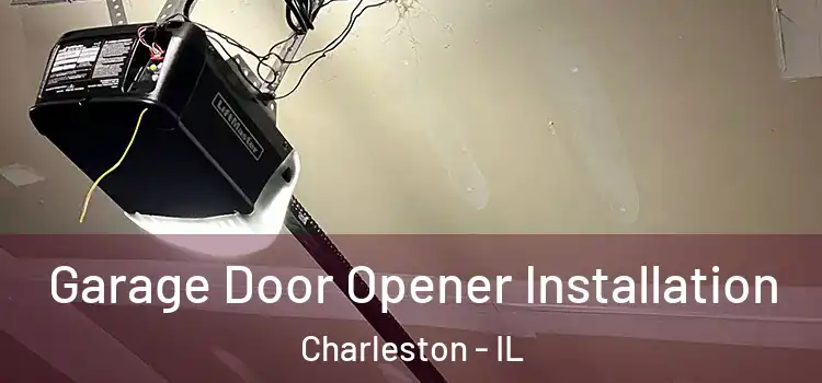  Garage Door Opener Installation Charleston - IL