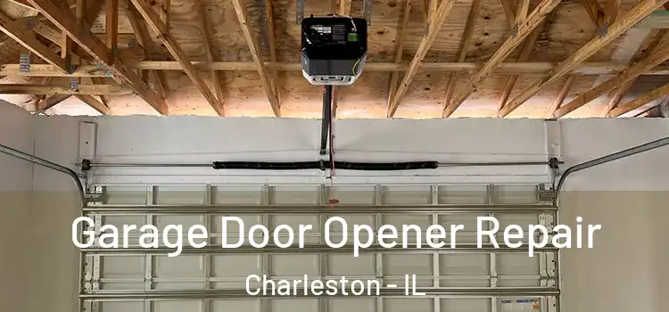  Garage Door Opener Repair Charleston - IL