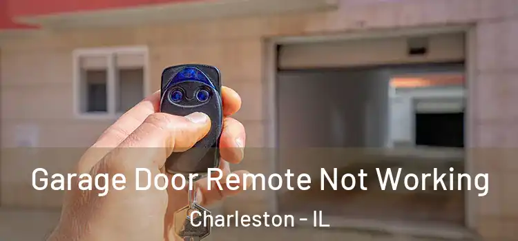  Garage Door Remote Not Working Charleston - IL