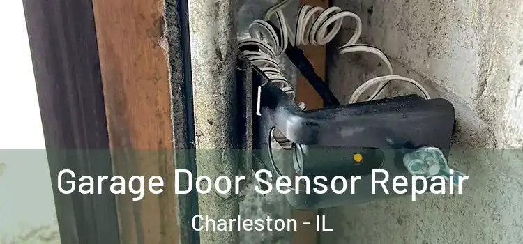 Garage Door Sensor Repair Charleston - IL