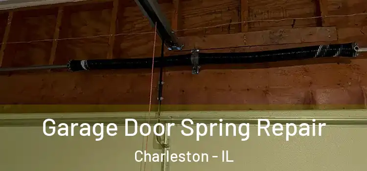  Garage Door Spring Repair Charleston - IL