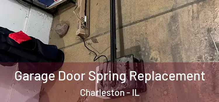  Garage Door Spring Replacement Charleston - IL