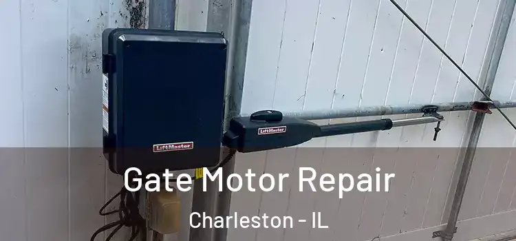 Gate Motor Repair Charleston - IL