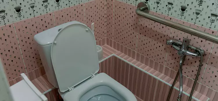 Meeting Diverse Needs With Accessible Restroom Solutions in Charleston, IL