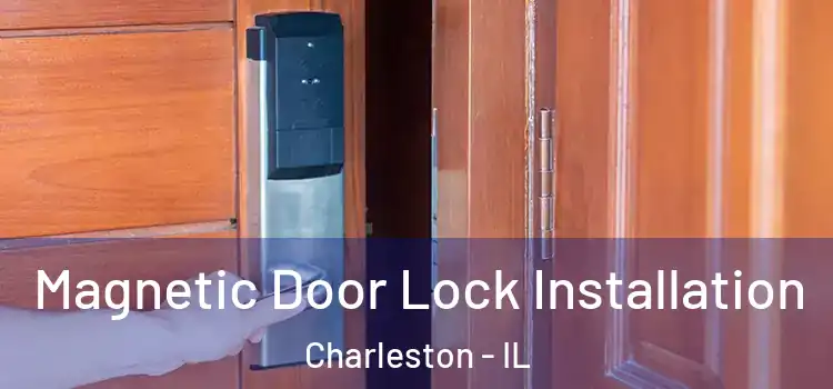  Magnetic Door Lock Installation Charleston - IL