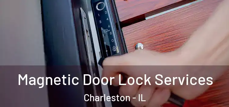 Magnetic Door Lock Services Charleston - IL