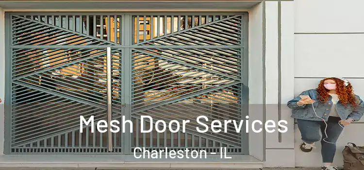 Mesh Door Services Charleston - IL