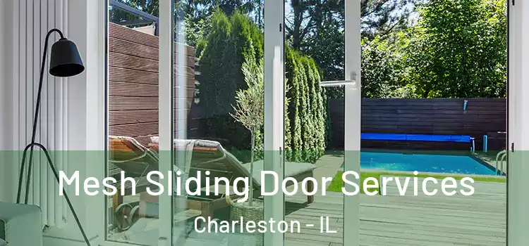 Mesh Sliding Door Services Charleston - IL