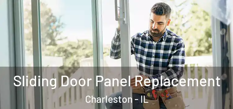  Sliding Door Panel Replacement Charleston - IL